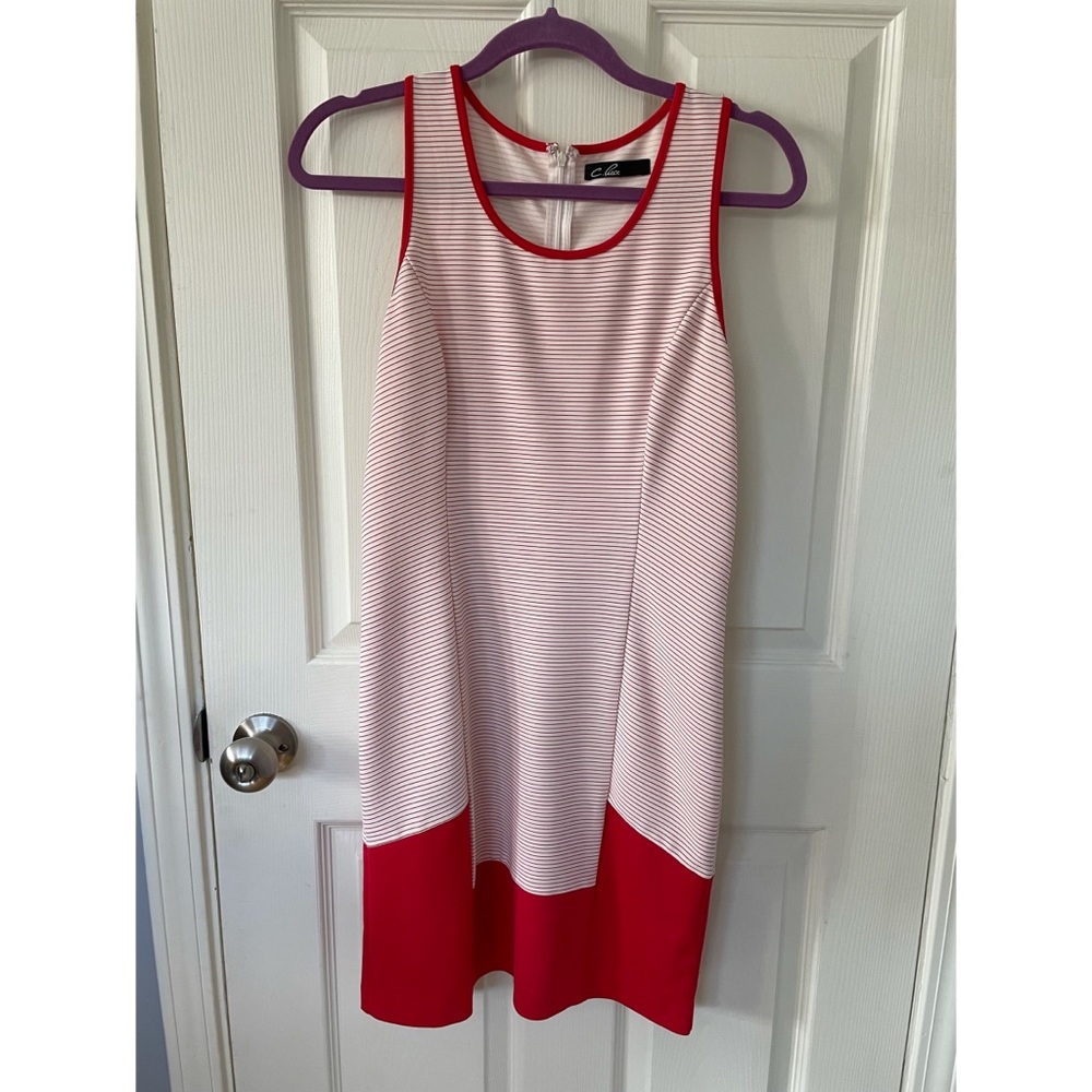 C. Puce striped dress